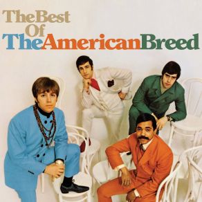 Download track I Don't Think You Know Me American Breed