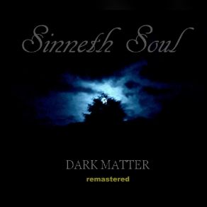 Download track Not Real Sinneth Soul