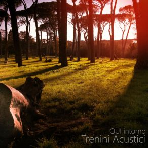 Download track Noi E I Nostri Sentieri Trenini Acustici