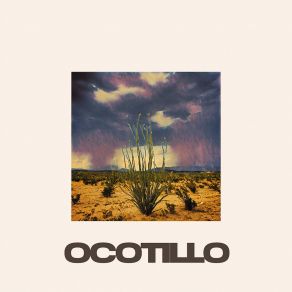 Download track Helianthus Ocotillo