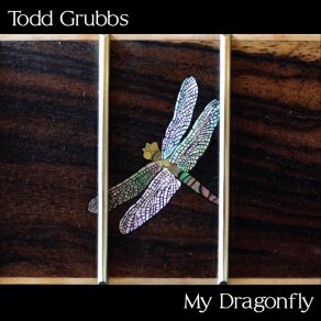 Download track Give Us Lies Todd Grubbs