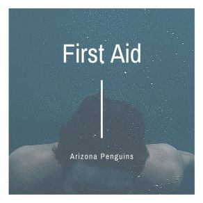 Download track First Aid Arizona Penguins