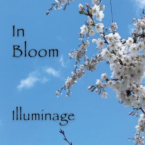 Download track Learn To Breathe (The Process Of Moving On) Illuminage