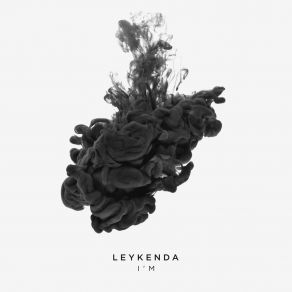 Download track I'm LeykendaJan Leyk