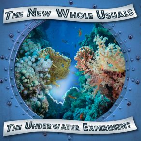 Download track Conservation Of Energy The New Whole Usuals