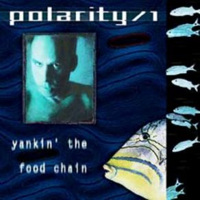 Download track Bag Of Bones Polarity / 1