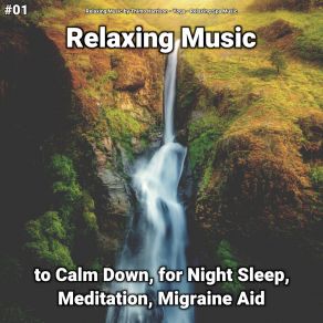 Download track Relaxing Music, Pt. 60 Relaxing Spa Music