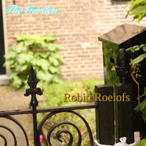 Download track Ditch This Song Robin Roelofs