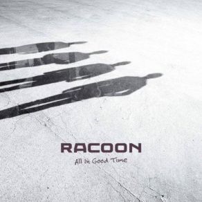 Download track Fun We Had Racoon