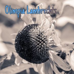 Download track Relationships More Olimpia Lambrechts