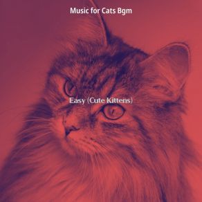 Download track Playful (Cute Kittens) Music For Cats Bgm