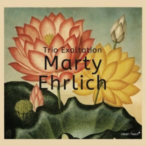 Download track Stone Marty Ehrlich