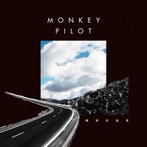 Download track Flying Groove Monkey Pilot