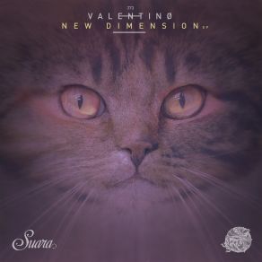 Download track New Dimension (Original Mix) Valentino