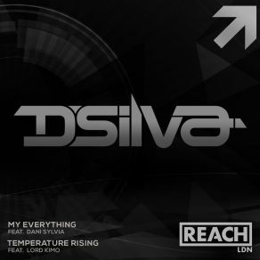 Download track My Everything (Original Mix) D. Silva