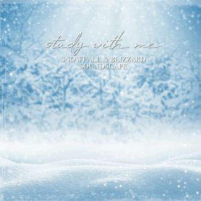 Download track Snowfall & Blizzard Soundscape, Pt. 2 Sebastian Riegl