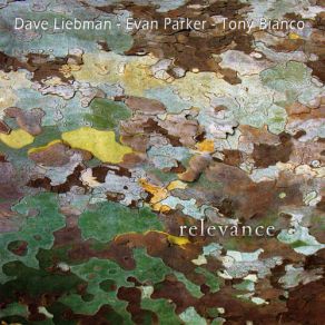 Download track Relevance (1st Set) Part 1 Evan Parker, David Liebman, Tony Bianco