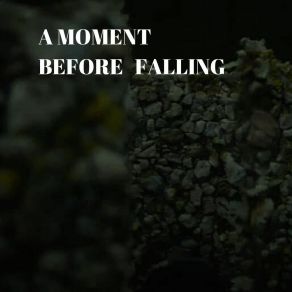 Download track A Moment Before Falling Seraghi