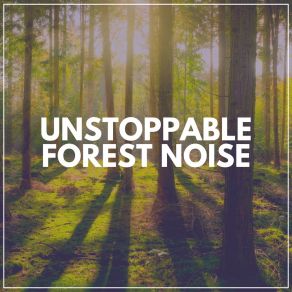 Download track Meditation With Nature, Pt. 9 Sounds Backgrounds