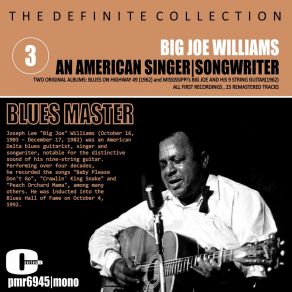 Download track Whistlin' Pines (Remastered) Big Joe Williams