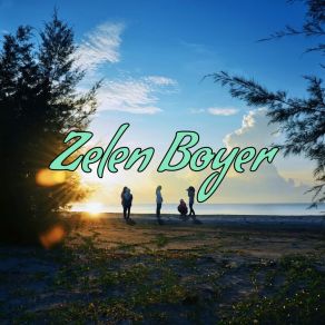 Download track Progressive Partner Zelen Boyer