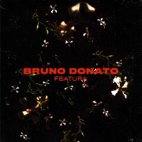 Download track Isla Bruno Donato