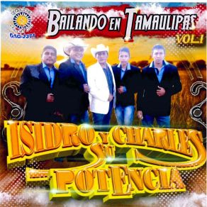 Download track Bailando En Tamaulipas Su Potencia