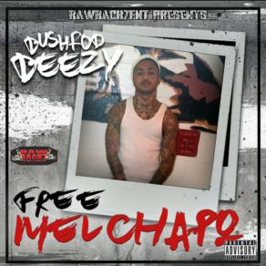 Download track Lil D Back (Remix) Bushrod BeezyKelieoso, Spaz Eloheem