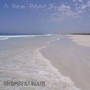 Download track The Search For Justice Secombe At Beach