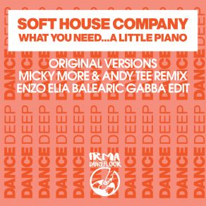 Download track What You Need... Soft House Company