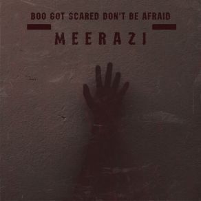 Download track Boo Got Scared Don't Be Afraid Meerazi