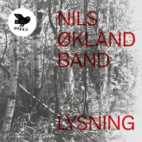 Download track Bølge Rolf Erik Nystrøm, Nils Økland, Sigbjorn Apeland, Mats Eilertsen, Nils Økland Band, Håkon Mørch Stene