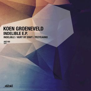 Download track Indelible Koen Groeneveld