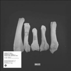 Download track These Bones Leiras