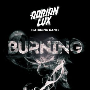 Download track Burning (Lucas Nord Remix) Adrian Lux, Danté