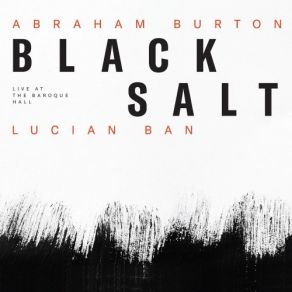 Download track Not That Kind Of Blues Abraham Burton, Lucian Ban