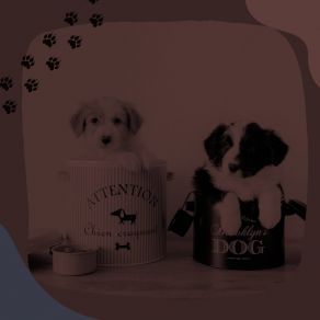 Download track Awesome Backdrops For Doggy Wellness Sleeping Music For Dogs