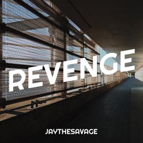 Download track More Play JayTheSavage