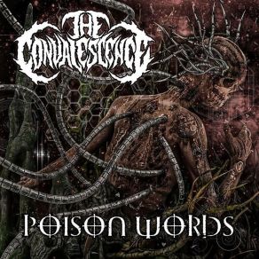 Download track Watch Them Burn The Convalescence