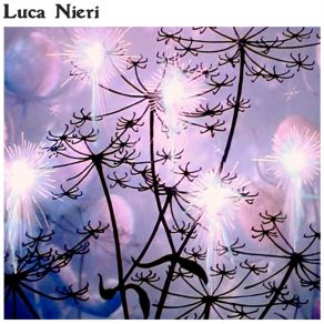 Download track The Lonely Bird Luca Nieri