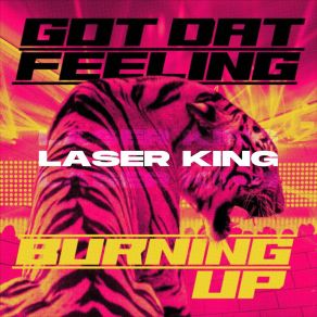 Download track Got Dat Feeling Laser King