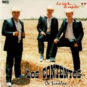 Download track A Medias De La Noche Los Contentos De Sinaloa