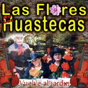 Download track Nomas Por Tu Culpa Las Flores De Las Huastecas