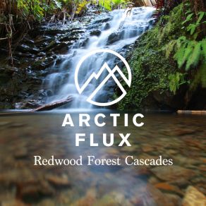 Download track Redwood Forest Cascades I Arctic Flux