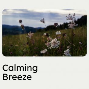 Download track Communicate With The Breeze Actors Of Nature