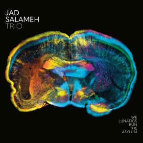 Download track The Last Tree On Earth Jad Salameh Trio