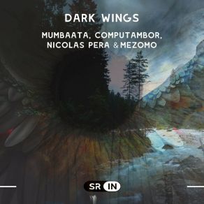 Download track Dark Wings (Nicolas Pera Remix) ComputamborNicolas Pera