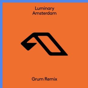 Download track Amsterdam (Grum Remix) Luminary