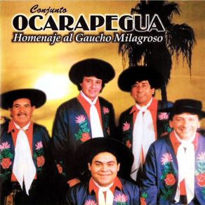 Download track Homenaje A Expresión Regional Conjunto Ocarapeguá