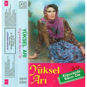 Download track Kırmızı Kuyu Yüksel Ari